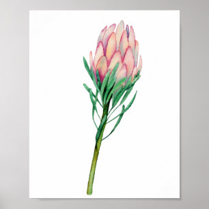 Affiche Aquarelle rose Floral Art