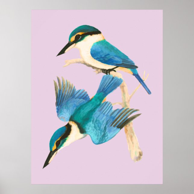 Affiche Aquarelle rose Kingfisher Birds (Devant)