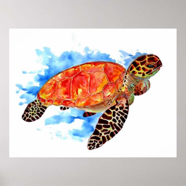 Affiche Aquarelle rouge Tortue marine (Devant)