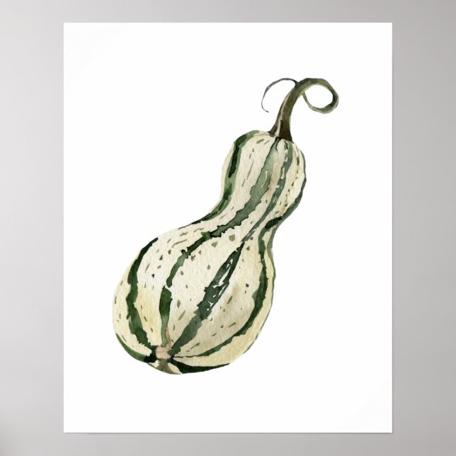 Affiche Aquarelle Squash bio (Devant)