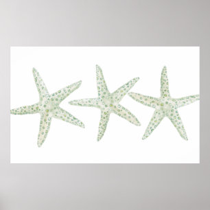 Affiche Aquarelle Starfish Trio