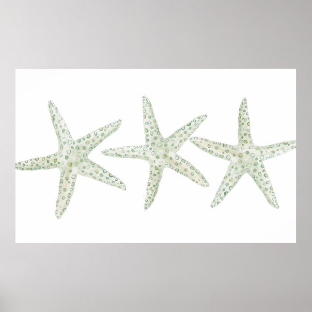 Affiche Aquarelle Starfish Trio (Devant)
