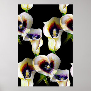 Affiche Aquarelle Sublime Arum Calla Lilies