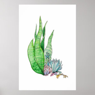 Affiche Aquarelle Succulente Végétation Botanique