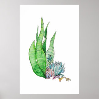 Affiche Aquarelle Succulente Végétation Botanique