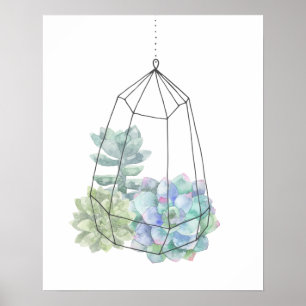 Affiche Aquarelle Terrarium Succulent Main tirée