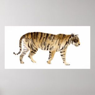 Affiche Aquarelle Tigre Marcher