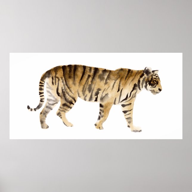Affiche Aquarelle Tigre Marcher (Devant)