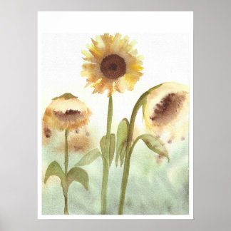 Affiche Aquarelle Tournesol Imprimer