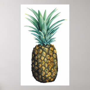 Affiche Aquarelle tropicale d'ananas