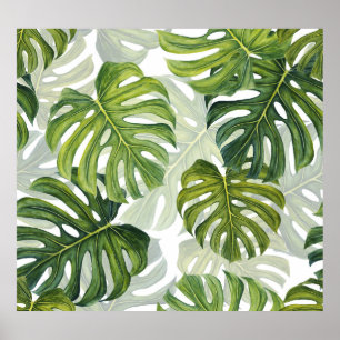 Affiche Aquarelle tropicale de Monstera verte