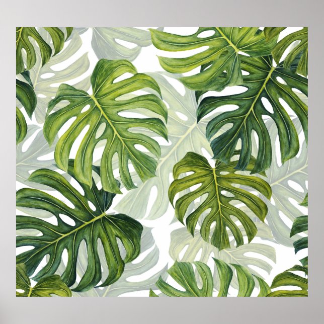 Affiche Aquarelle tropicale de Monstera verte (Devant)