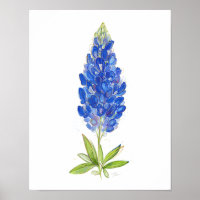 Aquarelle unique Texas Bluebonnet Art