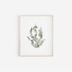 Affiche Aquarelle vert algue imprimé vintage
