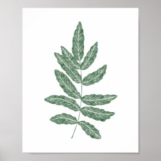 Affiche Aquarelle verte Feuille de fougère botanique