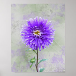 Affiche Aquarelle violette Dahlia