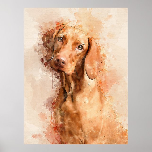 Affiche Aquarelle Vizsla (Devant)