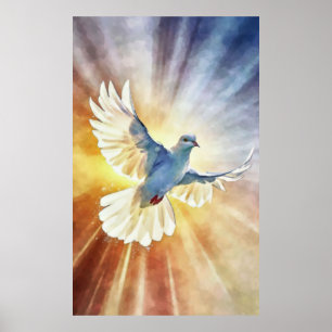 Affiche Aquarelle White Flying Dove