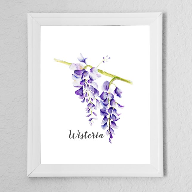 Affiche Aquarelle Wisteria Botanique (Créateur téléchargé)