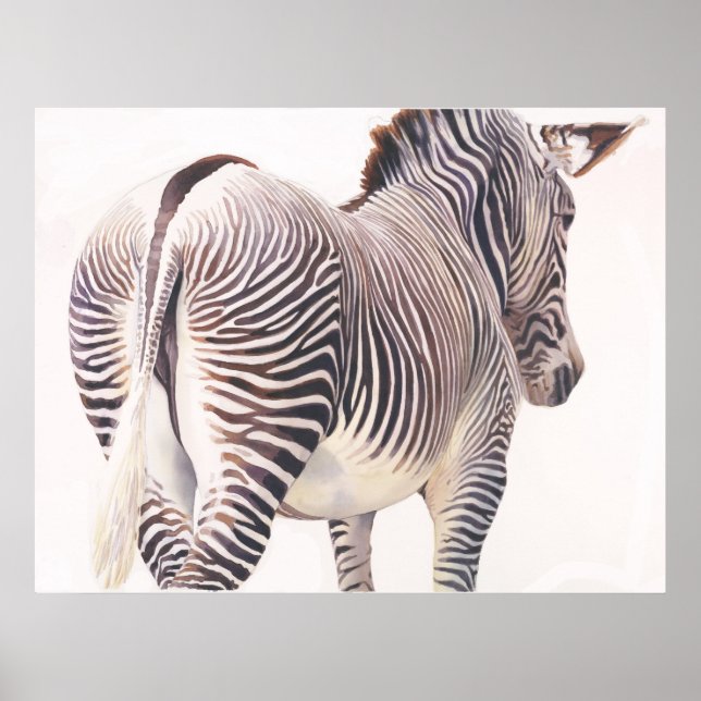 Affiche Aquarelle Zebra Wildlife (Devant)