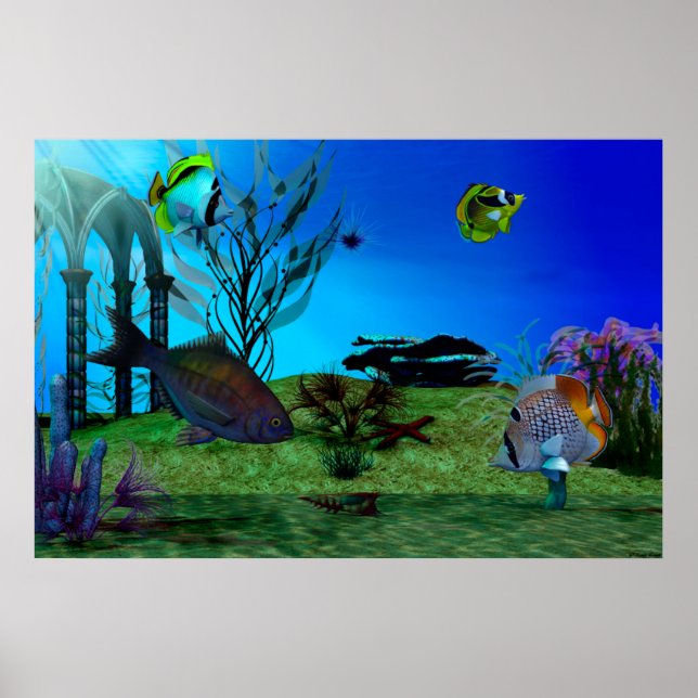Affiche Aquarium3D (Devant)