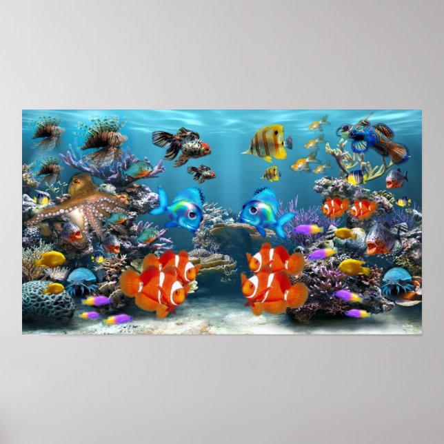 Affiche Aquarium tropical vibrant (Devant)