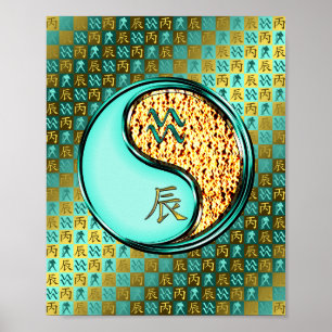 Affiche Aquarius & Dragon de feu
