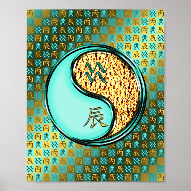 Affiche Aquarius & Dragon de feu (Devant)