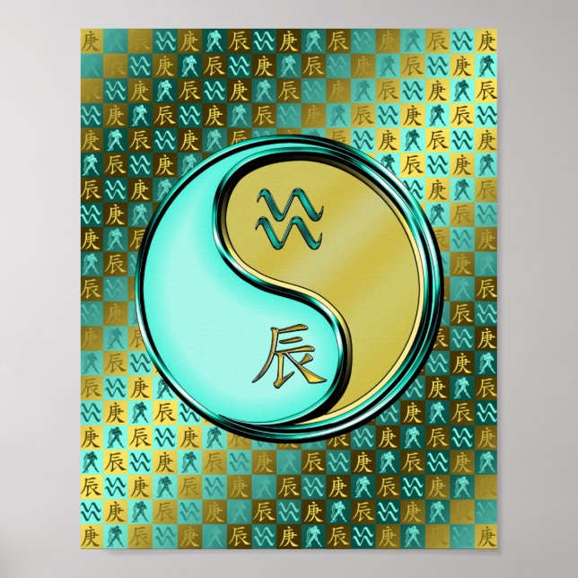 Affiche Aquarius & Dragon Métal (Devant)