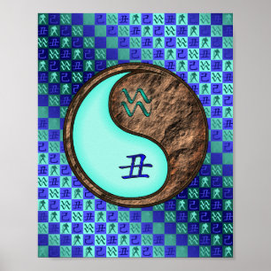 Affiche Aquarius & Earth Ox