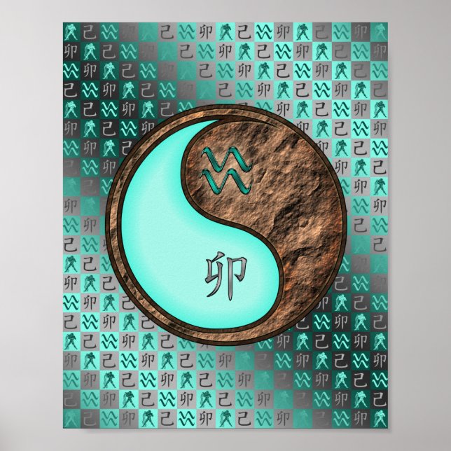 Affiche Aquarius & Earth Rabbit (Devant)