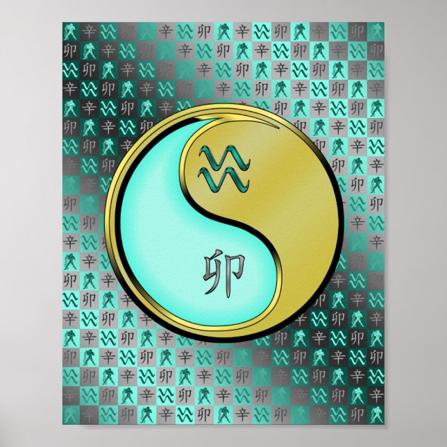 Affiche Aquarius et lapin métallique (Devant)