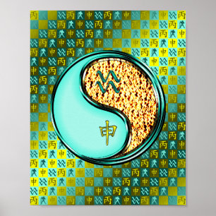 Affiche Aquarius et singe du feu