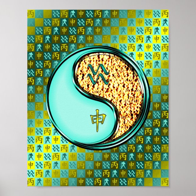 Affiche Aquarius et singe du feu (Devant)