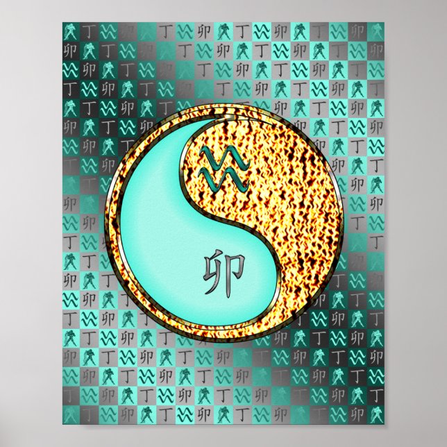 Affiche Aquarius & Fire Rabbit (Devant)