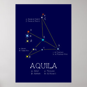 Affiche Aquila