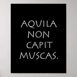 Affiche Aquila non captive muscas