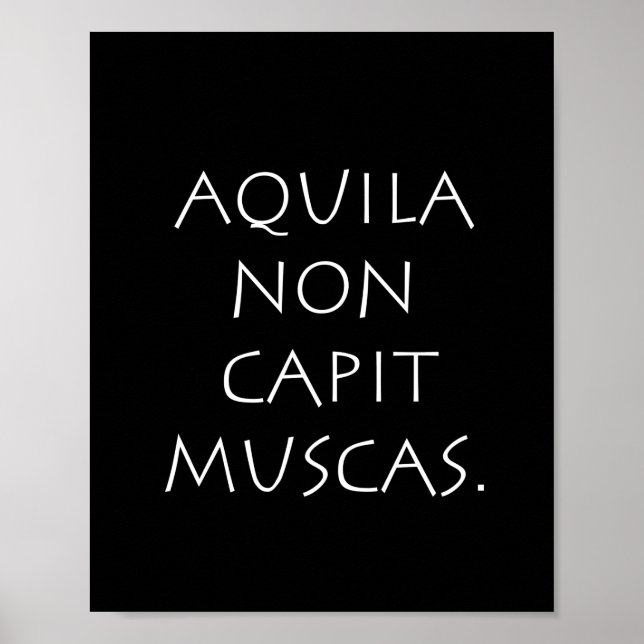 Affiche Aquila non captive muscas (Devant)