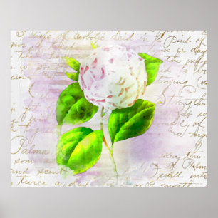 Affiche ** AR23 Floral Ancienne écriture manuscrite Vintag