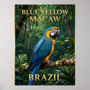Affiche 🦜 Ara bleu et jaune de la forêt tropicale brésili