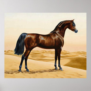 Affiche Arabian Horse - William Barraud