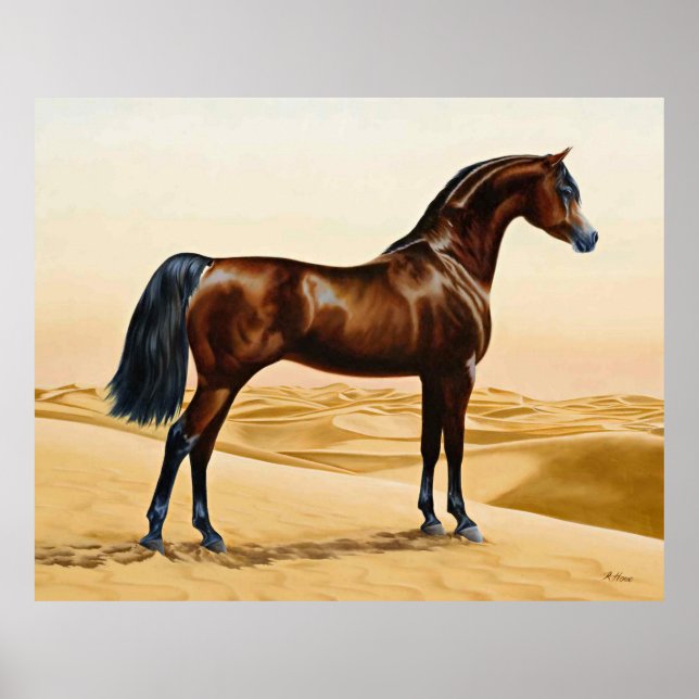 Affiche Arabian Horse - William Barraud (Devant)