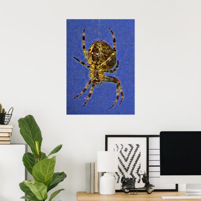 Affiche Araignée à orbite colorée  (Bureau à domicile)
