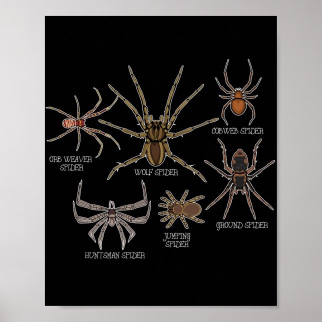 Affiche Araignée Espèce Tarantula Arachnid Cadeaux Araigné (Devant)