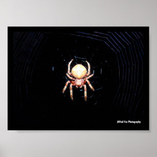 Affiche Araignée tissant une roue orange