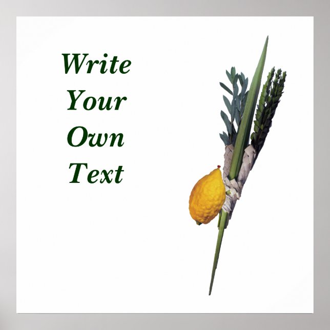 Affiche Arba Minim (4 espèces) (Devant)