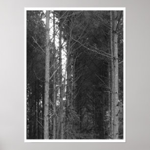 Affiche Arborescence
