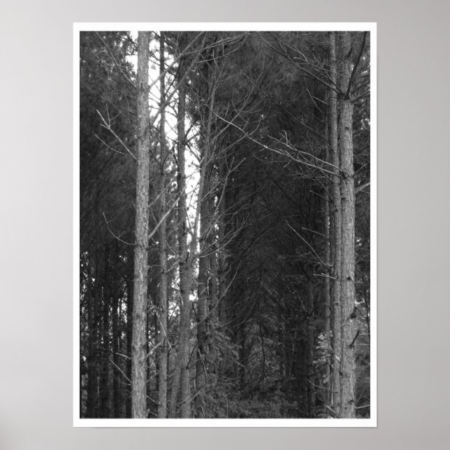 Affiche Arborescence (Devant)