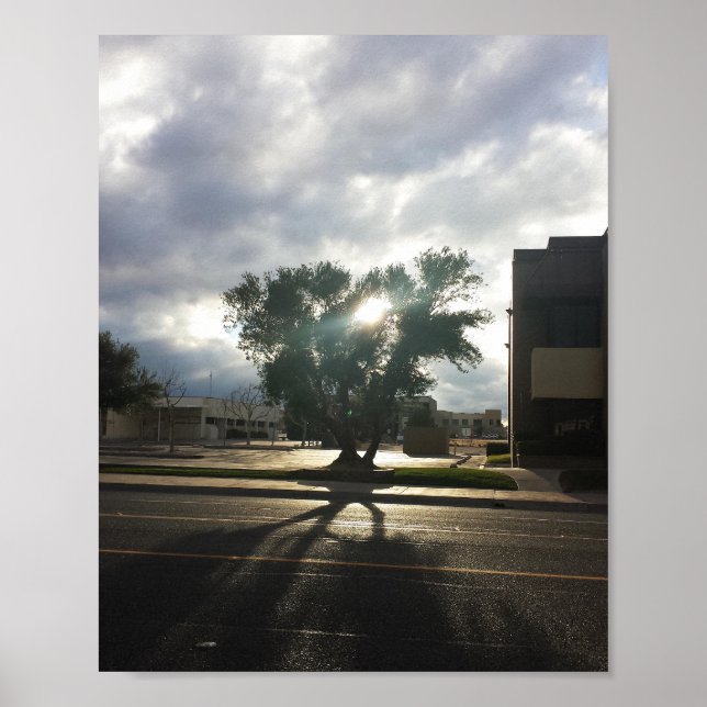 Affiche Arborescence urbaine (Devant)