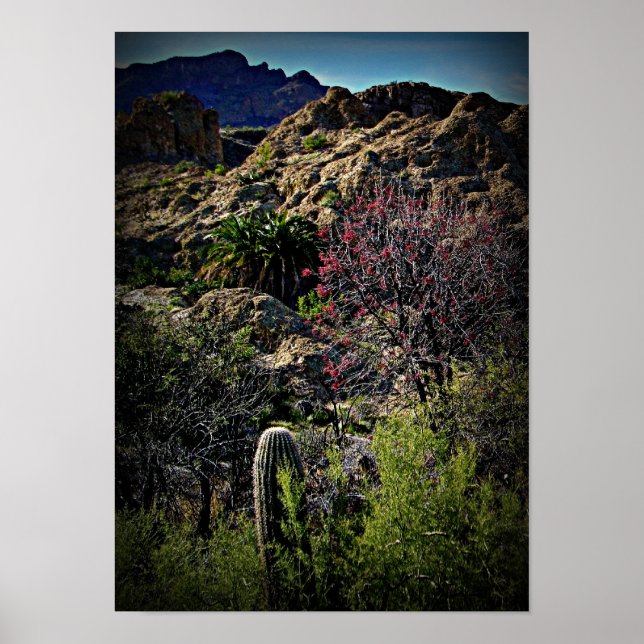 Affiche Arboretum Boyce Thompson (Devant)